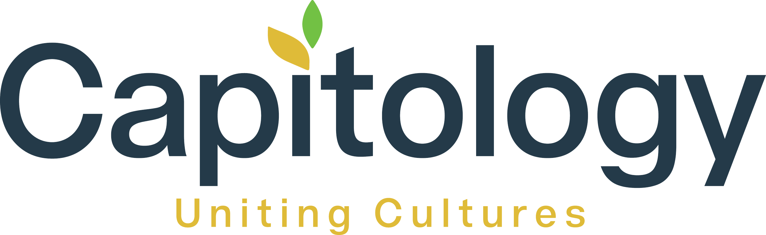 Capitology LLC